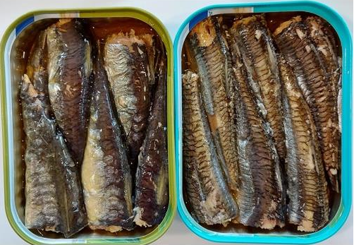 Quelles espèces de poissons peuvent remplacer les sardines ? - La ferme