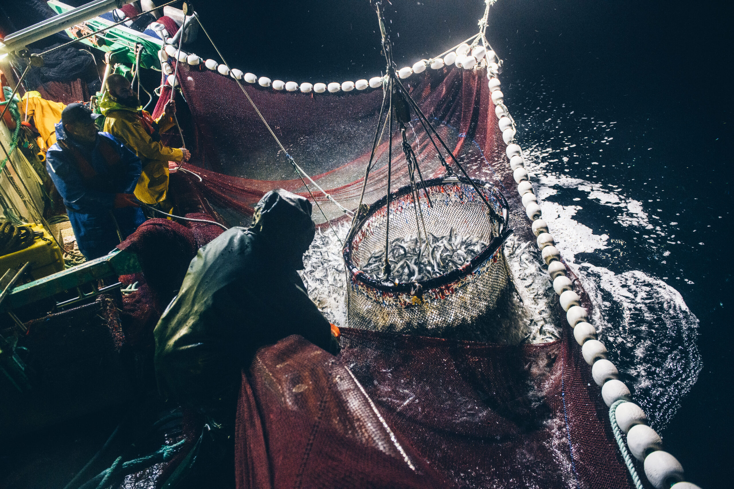 Top 3 des avantages de la pêche durable pour une bonne gestion des ressources de poissons